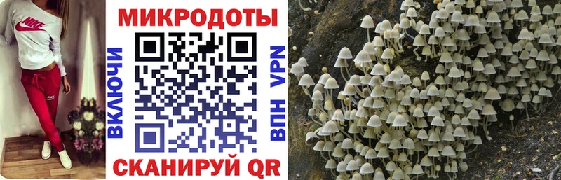 Галлюциногенные грибы GOLDEN TEACHER  где купить наркоту  Павловский Посад 