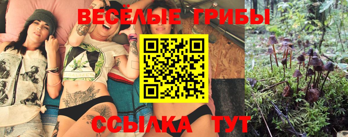 Псилоцибиновые грибы мицелий  закладка  Павловский Посад  Вход с VPN  Псилоцибиновые грибы Psilocybine cubensis 